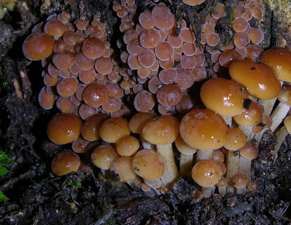 Svuotando l''archivio 2009...parte1